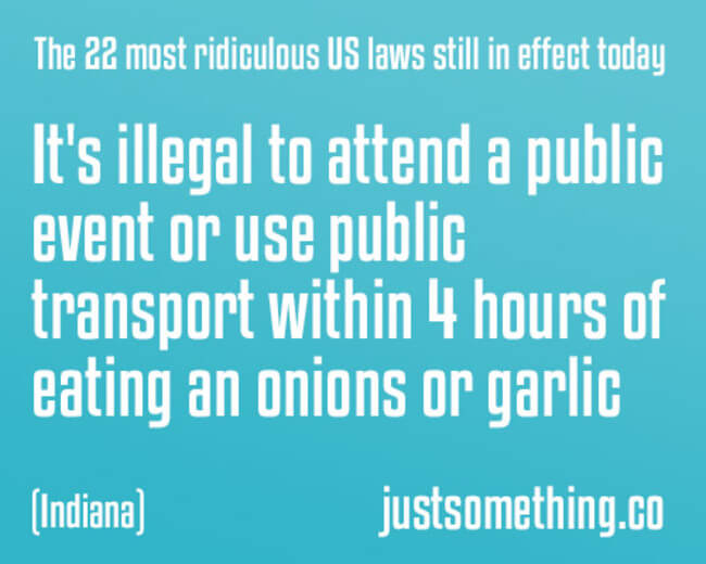 27 Stupid Laws That Are So Dumb They Should Be Illegal