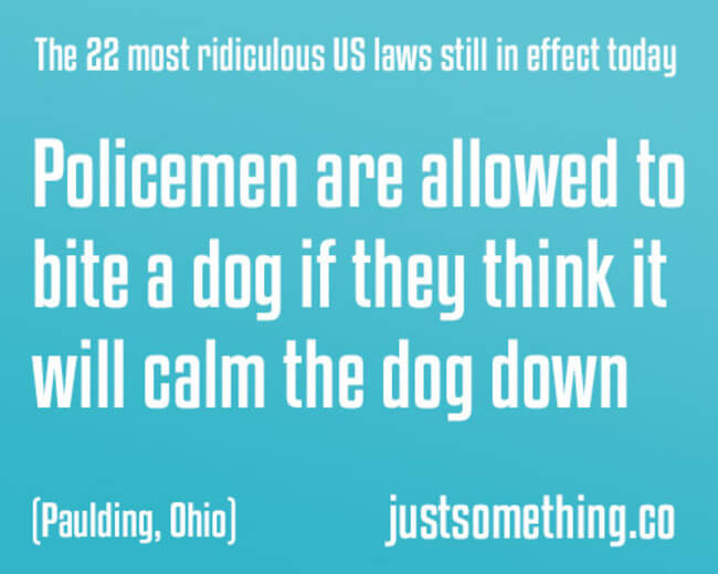 27 Stupid Laws That Are So Dumb, They Should Be Illegal