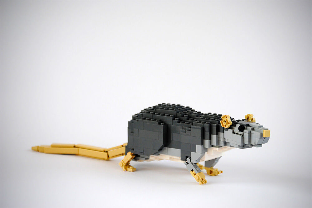 LEGO Animals 5 (1)