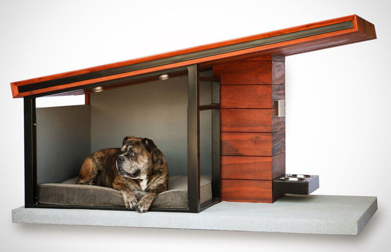 Modern Dog House (1)