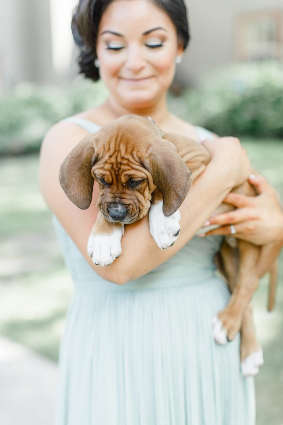 Puppies wedding photos 4 (1)