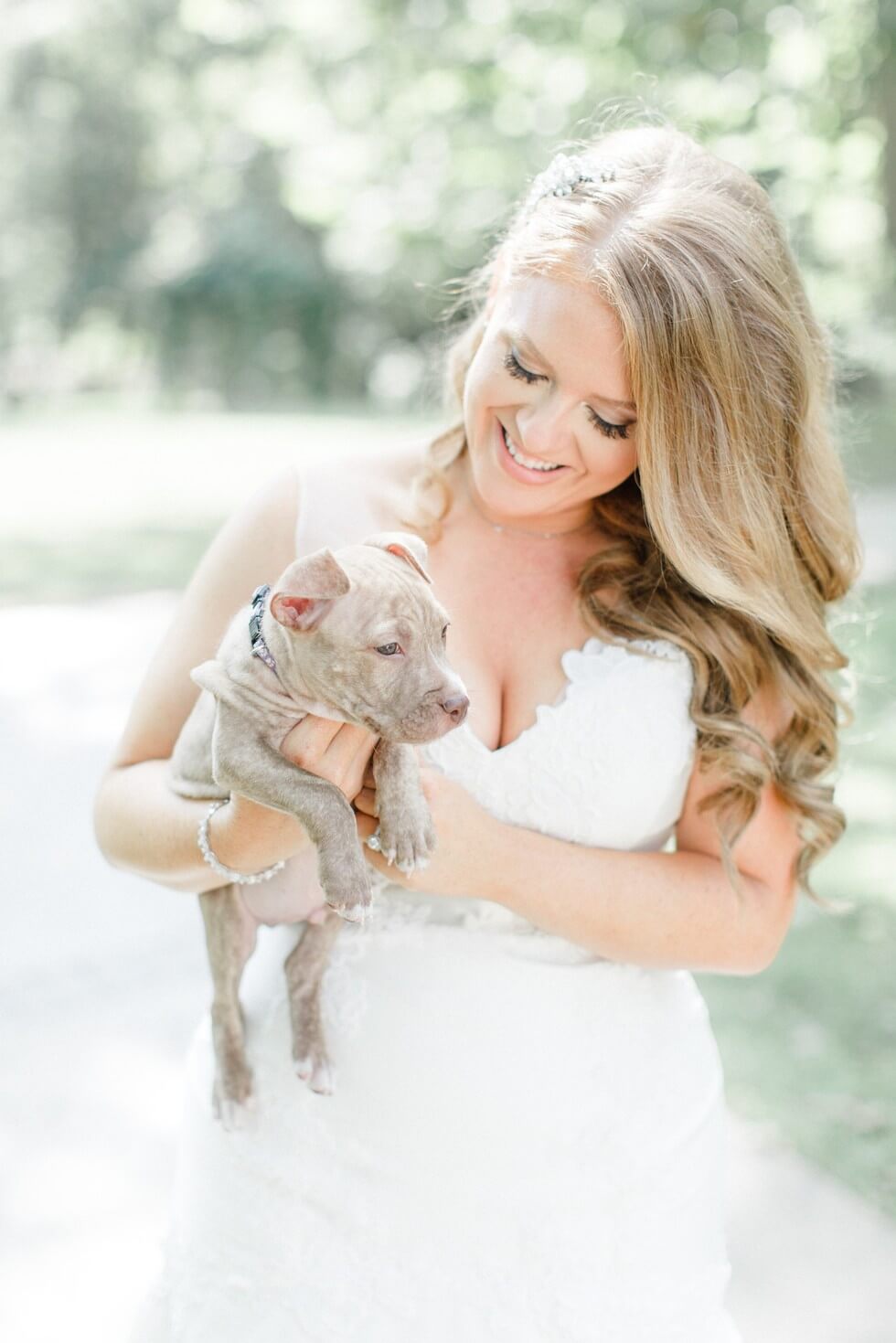 Puppies wedding photos 5 (1)