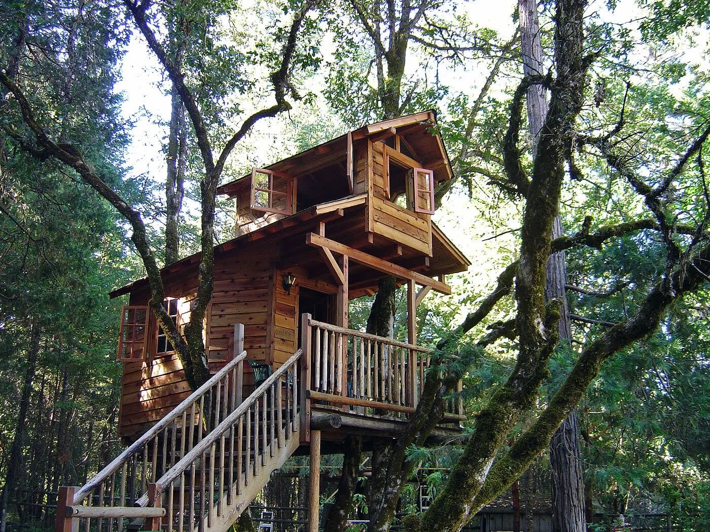 39 Amazing Tree  Houses  Everyone Wished They Had Growing Up