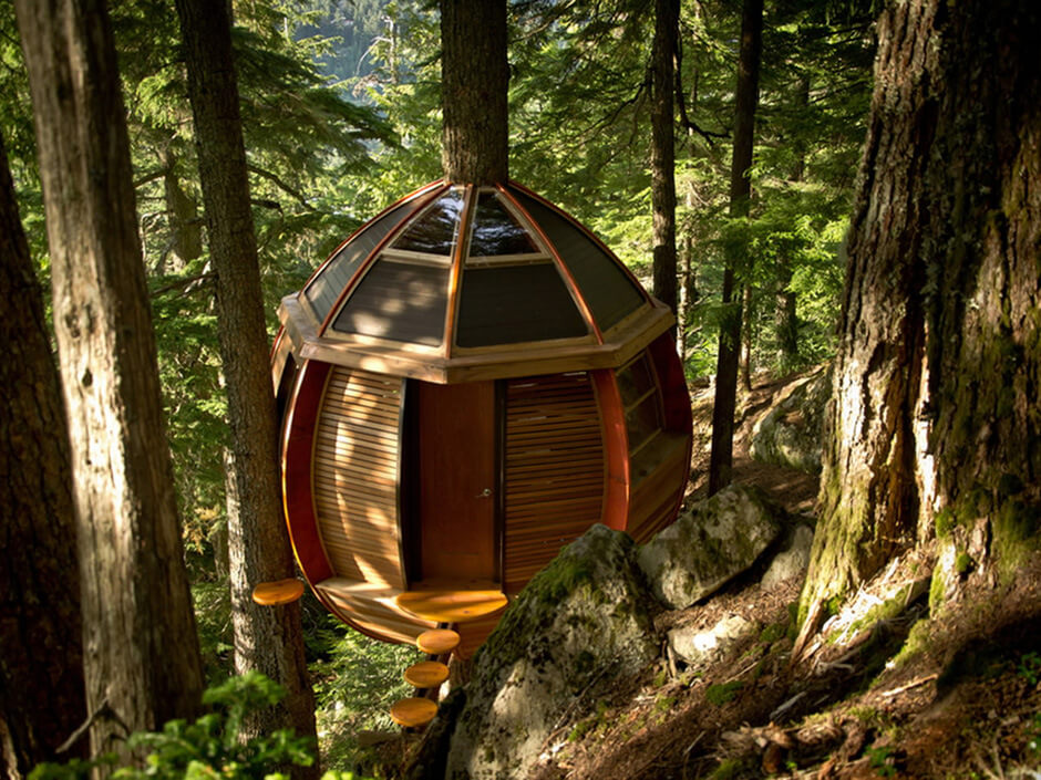 amazing tree homes 10 (1)