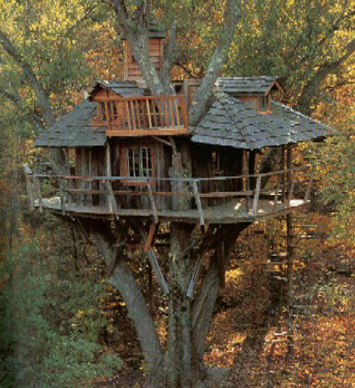 amazing tree homes 11 (1)