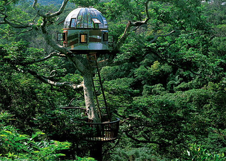 amazing tree houses 13 (1)