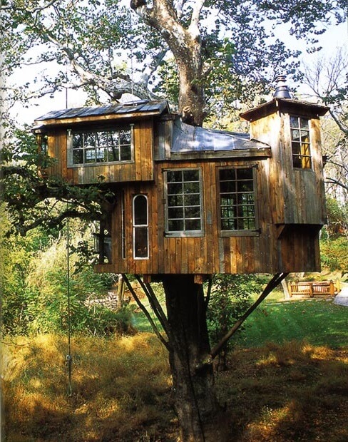 amazing tree houses 14 (1)