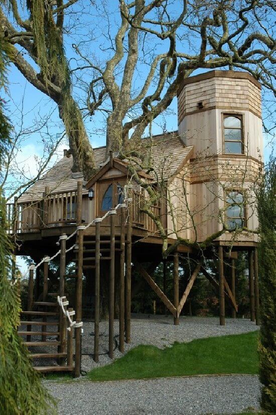 amazing tree houses 17 (1)