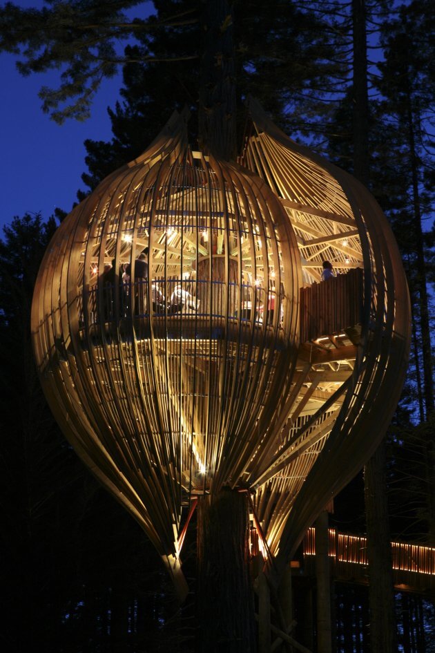 epic tree houses 19 (1)