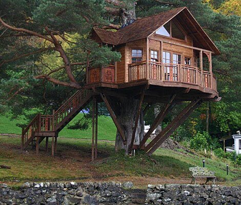 epic tree houses 20 (1)