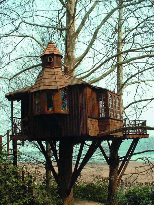 epic tree houses 21 (1)