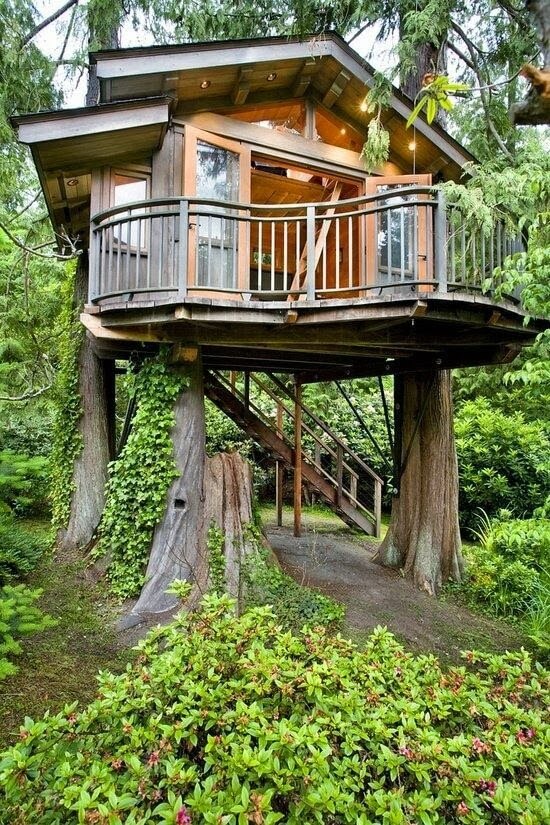 39 Amazing  Tree  Houses  Everyone Wished They Had Growing Up