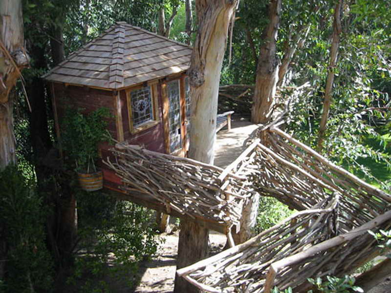 epic tree houses 28 (1)