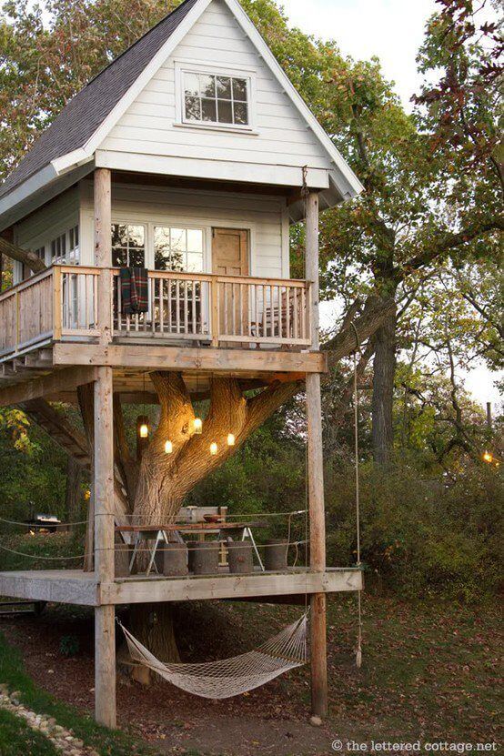 cool tree houses 30 (1)