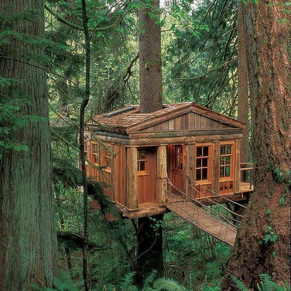 cool tree houses 32 (1)