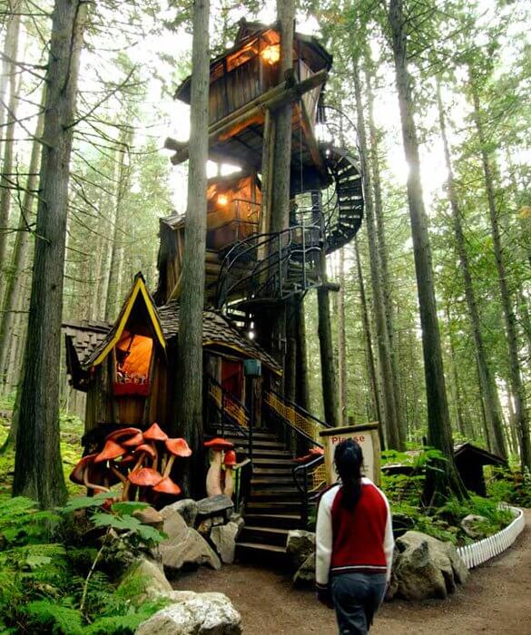 cool tree houses 37 (1)