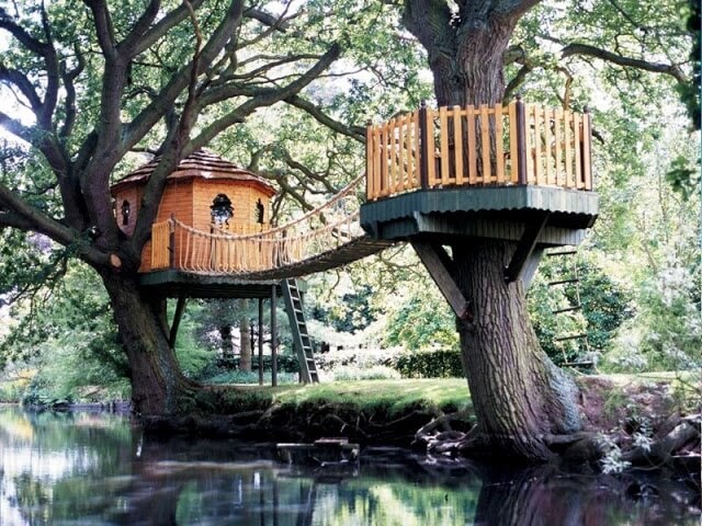 cool tree houses 38 (1)