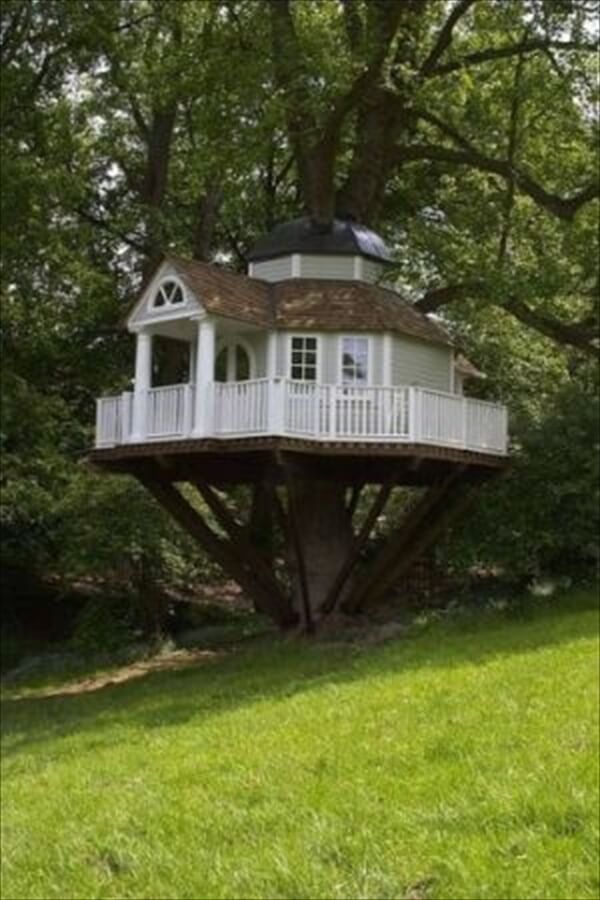 amazing tree homes 4 (1)