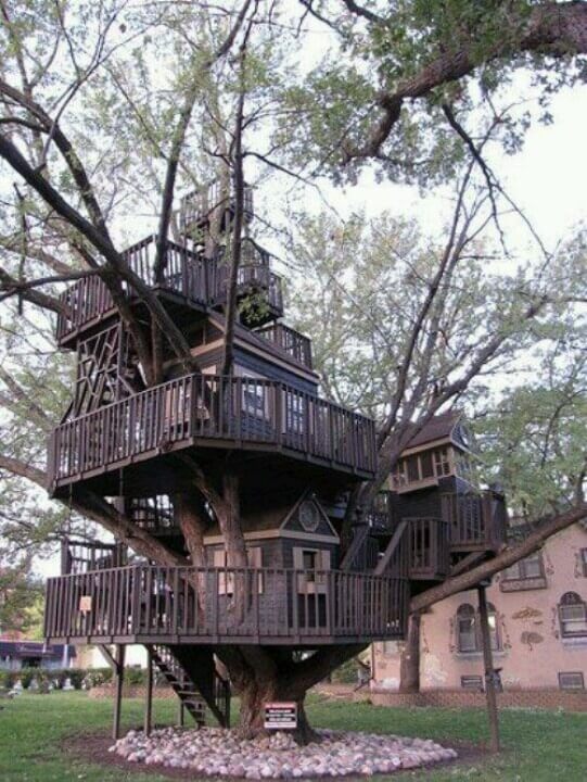 amazing tree houses 40 (1)