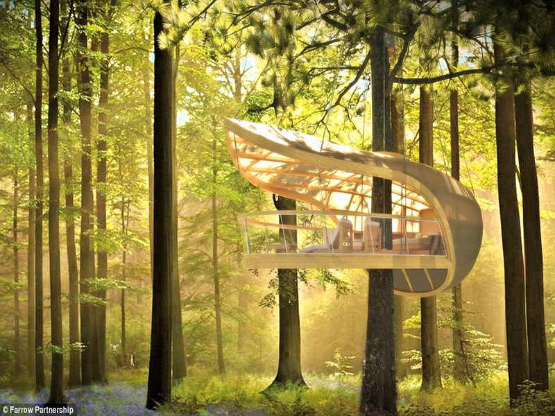 amazing tree homes 5 (1)