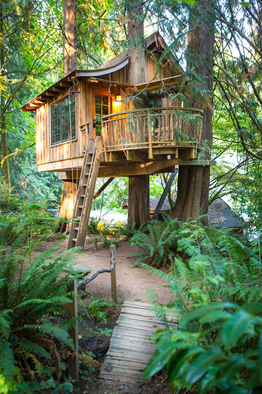 amazing tree homes 7 (1)