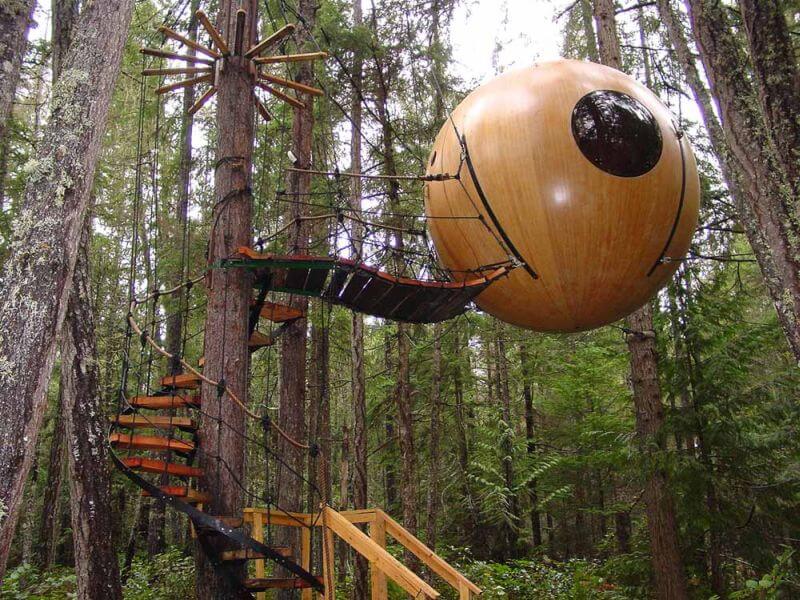 amazing tree homes 8 (1)