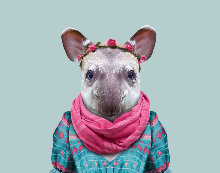 animals dressed as humans 15 (1)