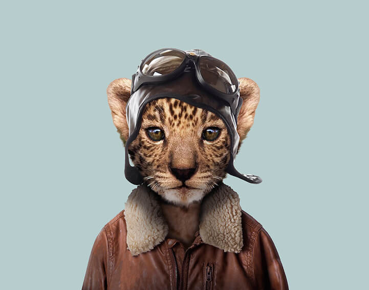 animals dressed as humans 25 (1)