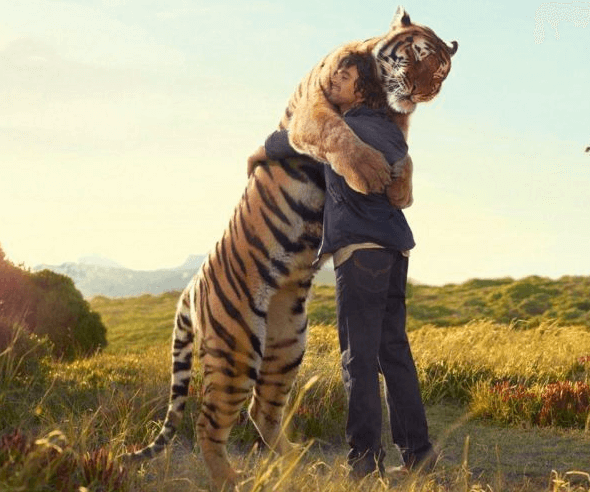 awesome pictures - hugging a tiger