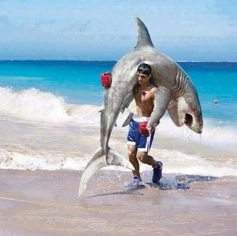 awesome photographs - man carrying a shark