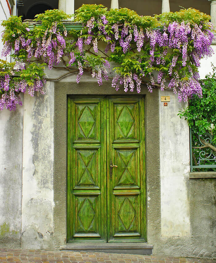 nice doors 19 (1)