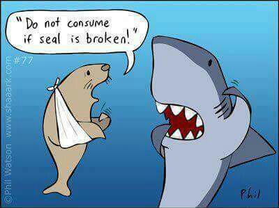 a shark next to a seal drawing