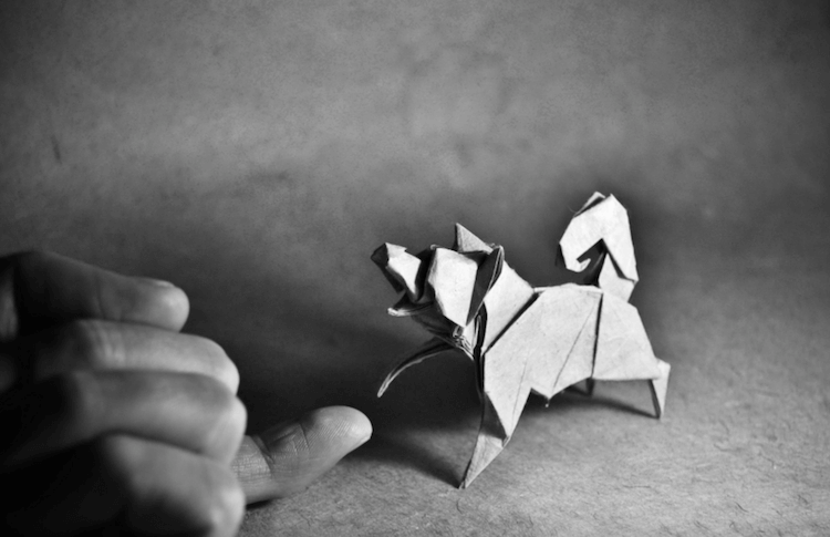 origami animals 20 (1)