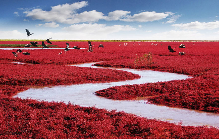 red beach china (1)