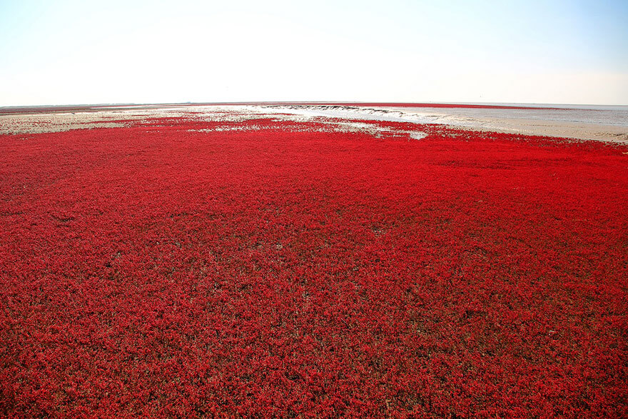 red beach china 10 (1)