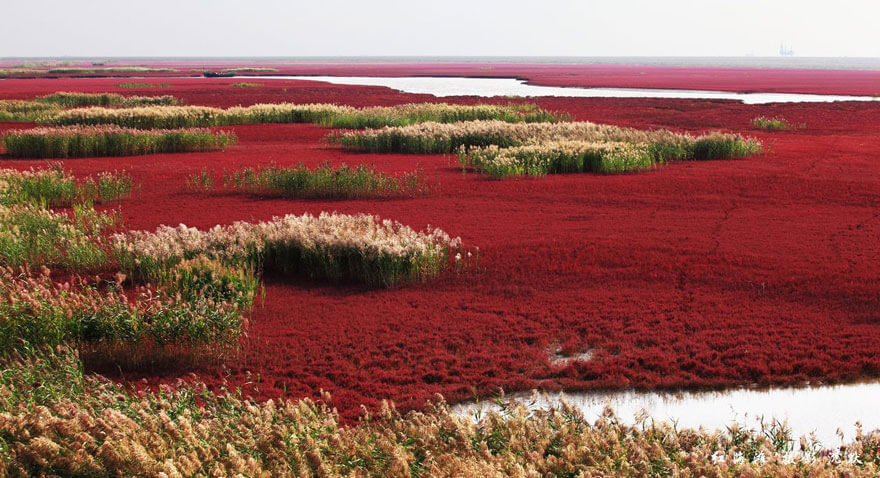 red beach china 2 (1)