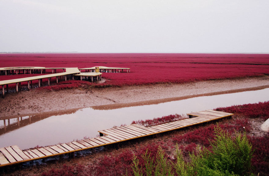 red beach china 3 (1)