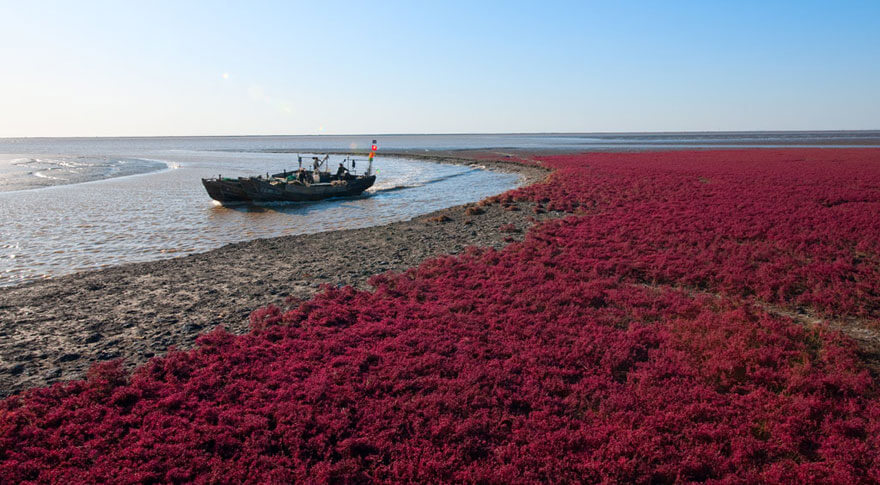 red beach china 4 (1)