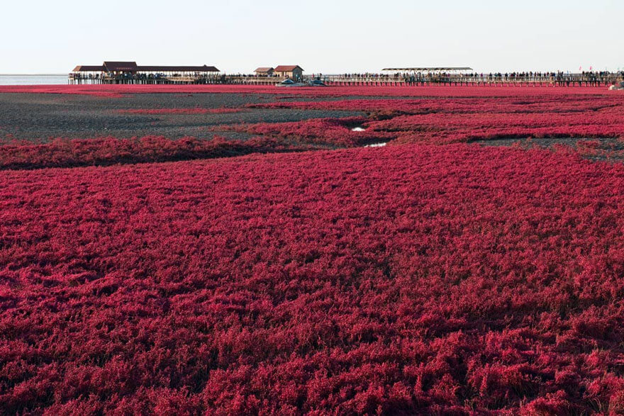 red beach china 6 (1)