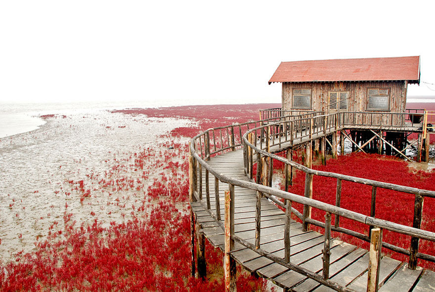 red beach china 9 (1)