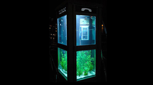 cool aquariums 11 (1)