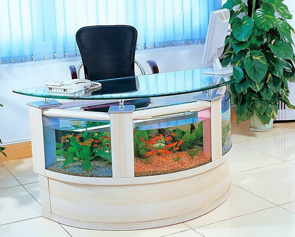 nice aquariums 17 (1)