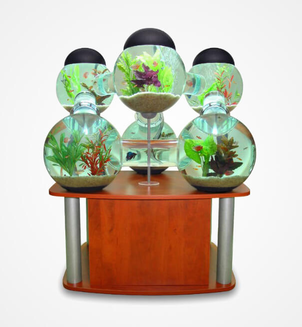 unique fish bowls 24 (1)