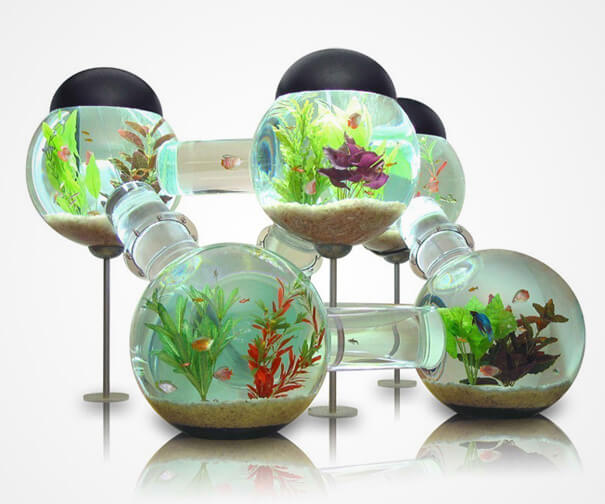 unique fish bowls 25 (1)