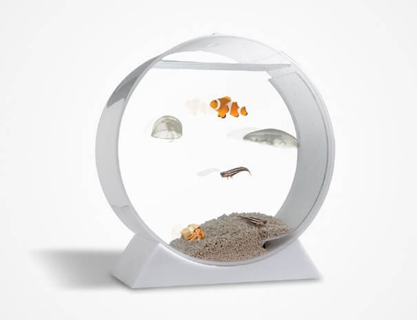 creative aquariums 30 (1)