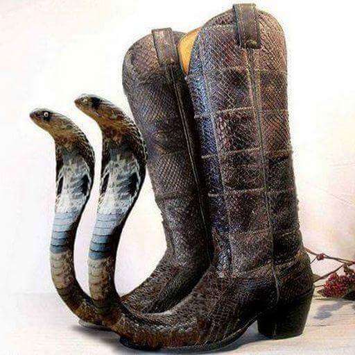 50 Weird Shoes That Will Test Your Love For Footwear 0008