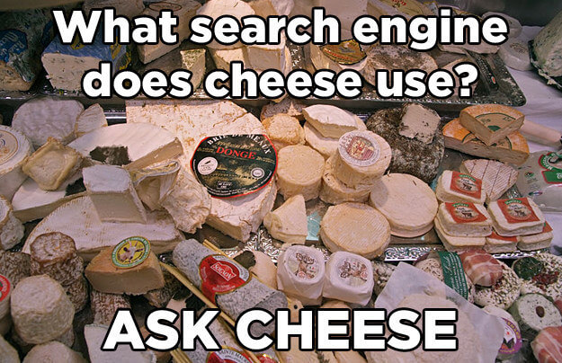 cheese jokes 11 (1)