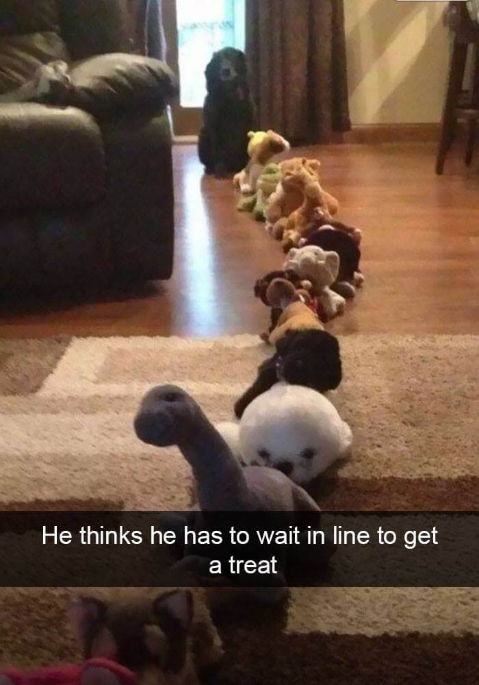 Snapchat Dog 17 (1)