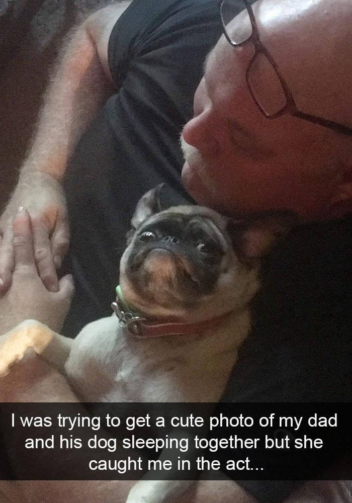 dogs on snapchat 25 (1)