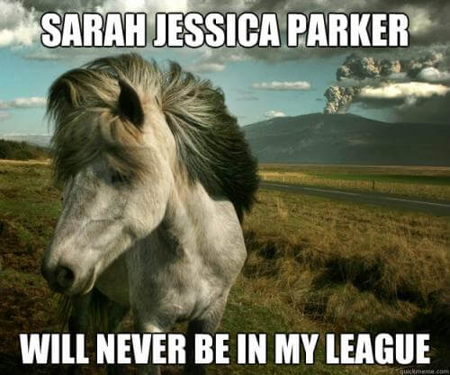 funny horse images 11 (1)